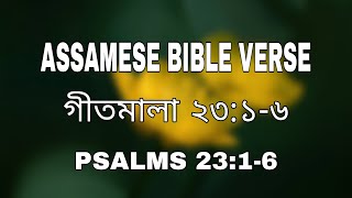 ASSAMESE BIBLE VERSE PSALMS 2316 [upl. by Espy]