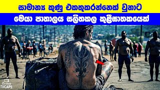 සාමාන්‍ය කුණු එකතුකරන්නෙක් වුනාට මෙයා පාතාලය සලිතකල කුළීඝාතකයෙක්  Sinhala Film Review [upl. by Moreville]