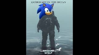 Sonic Sings Astronaut in the Ocean [upl. by Stefa]