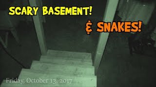 SCARIEST BASEMENT or SCARY SNAKES [upl. by Nnairak]