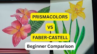 My Beginners Opinion on Prismacolor VS Faber Castell Classic Colored Pencils [upl. by Htebirol]