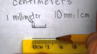 measuring centimeters [upl. by Aubarta]