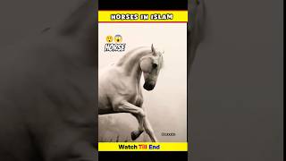 horses 🐎 horse riding 🐎 beautiful horse horse horseriding facts shorts ghoda [upl. by Shevlo]