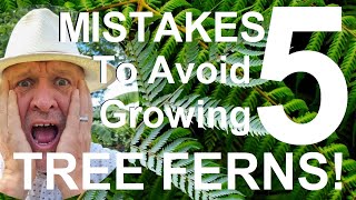 Five Mistakes to Avoid When Growing Tree Ferns  Dicksonia antarctica [upl. by Karney800]