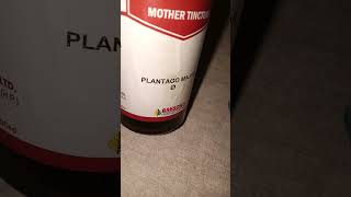 plantago Q plantago major mother tincture homoeopathic medicine use  for tooth pain amp sensitivity [upl. by Leira786]