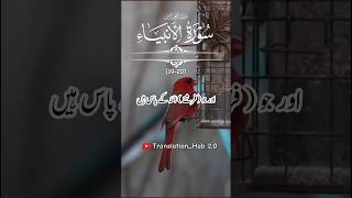 Surah Al Anbiya 1920 Quran Urdu Translation quran quranurdutranslation [upl. by Zoes988]