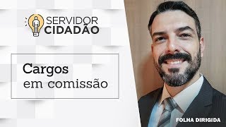 Cargos em comissão no serviço público [upl. by Stefan]