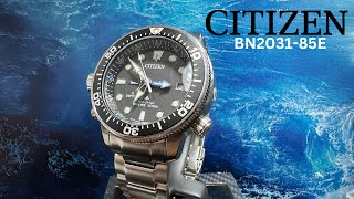 Citizen Promaster BN203185E Mens Wristwatch [upl. by Elam]