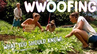 HOW TO WWOOF FOR BEGINNERS  THE BASICS FOR WORK  CHEAP TRAVEL [upl. by Yrrad]