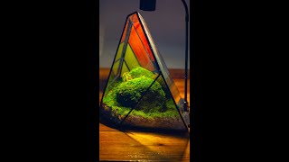 DIY tutorial Create a mountain landscape withmoss in a stainedglass Rainbow ice peak terrarium [upl. by Ymac]