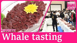 Whale meat meeting held at Toyosu Market [upl. by Wells]