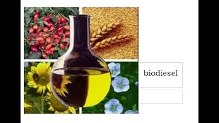 Biodiesel  Transesterification Synthesis and Advantages  Engineering Chemistry  BSc Chemistry [upl. by Lolly]