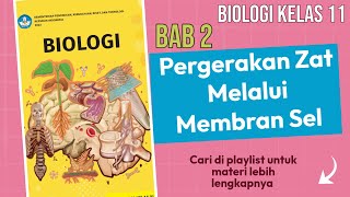 Transpor aktif pada transpor pada membran sel BIOLOGI KELAS 11 buku kemendikbud [upl. by Bedad]