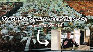 Starting Tomato Seeds Indoors What To Do For Maximum Success [upl. by Giverin]