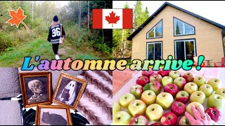 EPISODE 19 🇨🇦 CHALET AUTOMNE POMME ET COLIS SHEIN [upl. by Eelnyl]