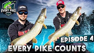 EVERY PIKE COUNTS 2023 with Happy Angler  Episode 4 ENG SUB [upl. by Hatfield]