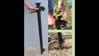 Seedling transplanter [upl. by Pontius]