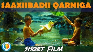 SAAXIIBADII QARNIGA  SHORT FILM  DHIIRIGELIYE [upl. by Arlinda]