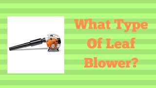 What Type Of Leaf Blower [upl. by Ruhl]