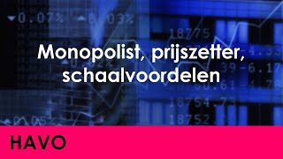 Monopolist prijszetter schaalvoordelen  Economie voor havo  Markt amp Overheid [upl. by Nonnag29]