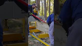 Quartersawing a Massive White Oak on My Frontier Sawmill [upl. by Malet924]