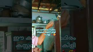 ആര് കൊടുത്താലും കഴിക്കും 😁🥰malayalam youtubefeed shortsfeed birdsloverpetsampbirds [upl. by Craven625]