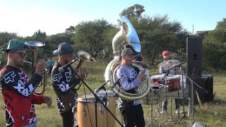 Popurri de Sones En Vivo  La Máxima Banda de Zacatecas [upl. by Kristie]