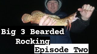 Sea Fishing North Wales  Big 3 Bearded Rockling  Bull Huss AGAIN [upl. by Blackman]