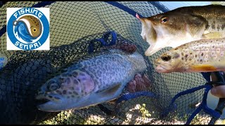 Pesca Trota Lago vol1 quotspinning e mosca con Gianluca al parco laghiquot [upl. by Manvell]