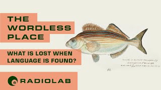 The Wordless Place  Radiolab Podcast [upl. by Wendalyn142]