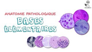 Anatomie Pathologique  Bases élémentaires [upl. by Hako]