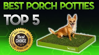 Best Porch Potties 2020  Porch Pottie Review [upl. by Maite530]