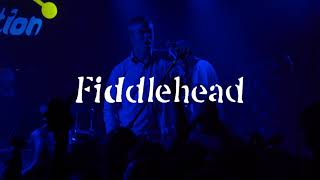 Fiddlehead Full Set 4K  Chain Reaction [upl. by Brander270]