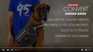 How to fit a Dog Pack  EzyDog Convert Saddle Bags [upl. by Coheman]