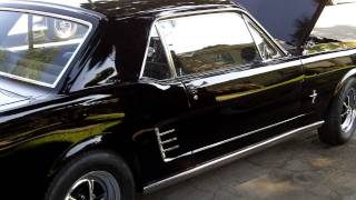 1966 Ford Mustang Coupe For Sale [upl. by Yettie]