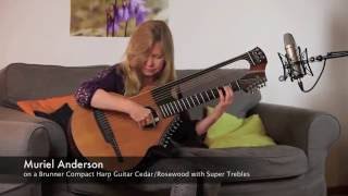 quotWhy worryquot by Muriel Anderson on a Brunner Compact Harp Guitar [upl. by Alfreda]