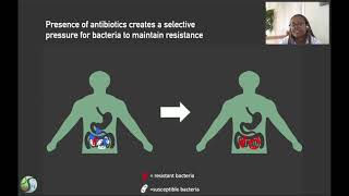 Antibiotic Resistance Spread Through the Environment amp Human Exposures [upl. by Ylim]