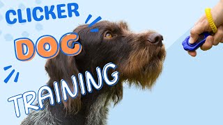 Clicker Dog Training  How to Use A Clicker to Train Your Dog The FASTEST WAY [upl. by Gable63]