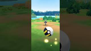 Caught a Scatterbug speedup edit pokemongo [upl. by Kirat308]