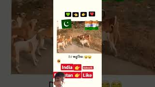 India wali subscribe karo dog Pakistan wale like karo dekhte hain kiska Kitna like aur subscribe [upl. by Jud706]