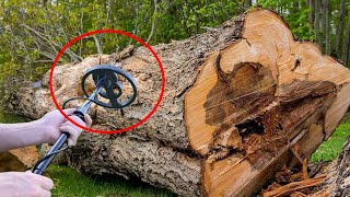 Metal Detector Beeps as Man Scans a Tree – Turns Pale After Breaking It Open [upl. by Saravat333]