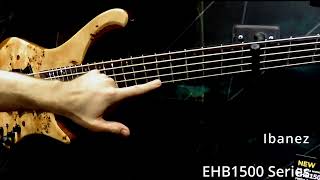 Ibanez EBH1500 Short Scale Basses  NAMM2024 Ibanezbass IbanezEBH1500 bassguitar [upl. by Anerom981]