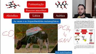 08  Processos energéticos  Fermentação Metanogênica [upl. by Atikat]