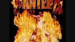 Pantera  Revolution Is My Name 8 Bit [upl. by Epillihp582]