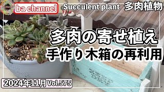 575多肉植物 ブリキ鉢より長持ち木箱へ寄せ植えしたよ😊【多肉事】【手作り木箱】【多肉狩り】【ウッドプランター】【ba多肉】【baチャンネル】【Succulent】 [upl. by Kenleigh]