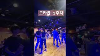 부천 살사 클럽 카디즈 모카반 에단amp유리쌤 salsa dance salsation bachata 모카 목요일 [upl. by Bruni762]