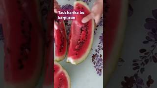 Karpuzun tadı harika [upl. by Payton]