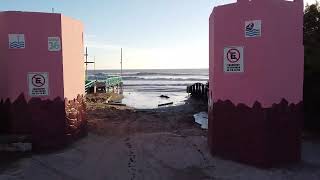 🌊 Explorando la Magia de las Toninas Argentina Mar Playa y Laberintos 🐬 [upl. by Lamek]