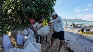 Seawall Work With My Siblings🇫🇯🇩🇰 [upl. by Talie]