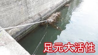 片道８００㌔離れた堤防であの釣した結果まさかの福井県で424話目 [upl. by Dwain]